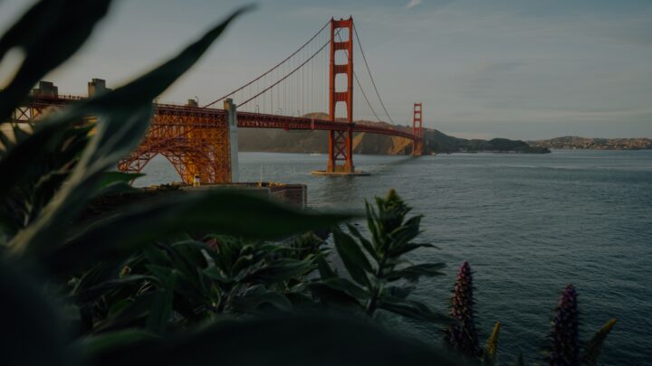 Le novità rivoluzionarie di Dreamforce 2024: una nuova era per l’AI e oltre