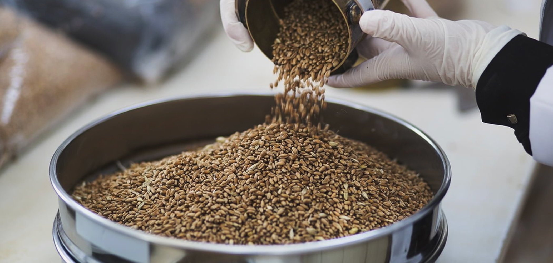 grandi-molini-image2